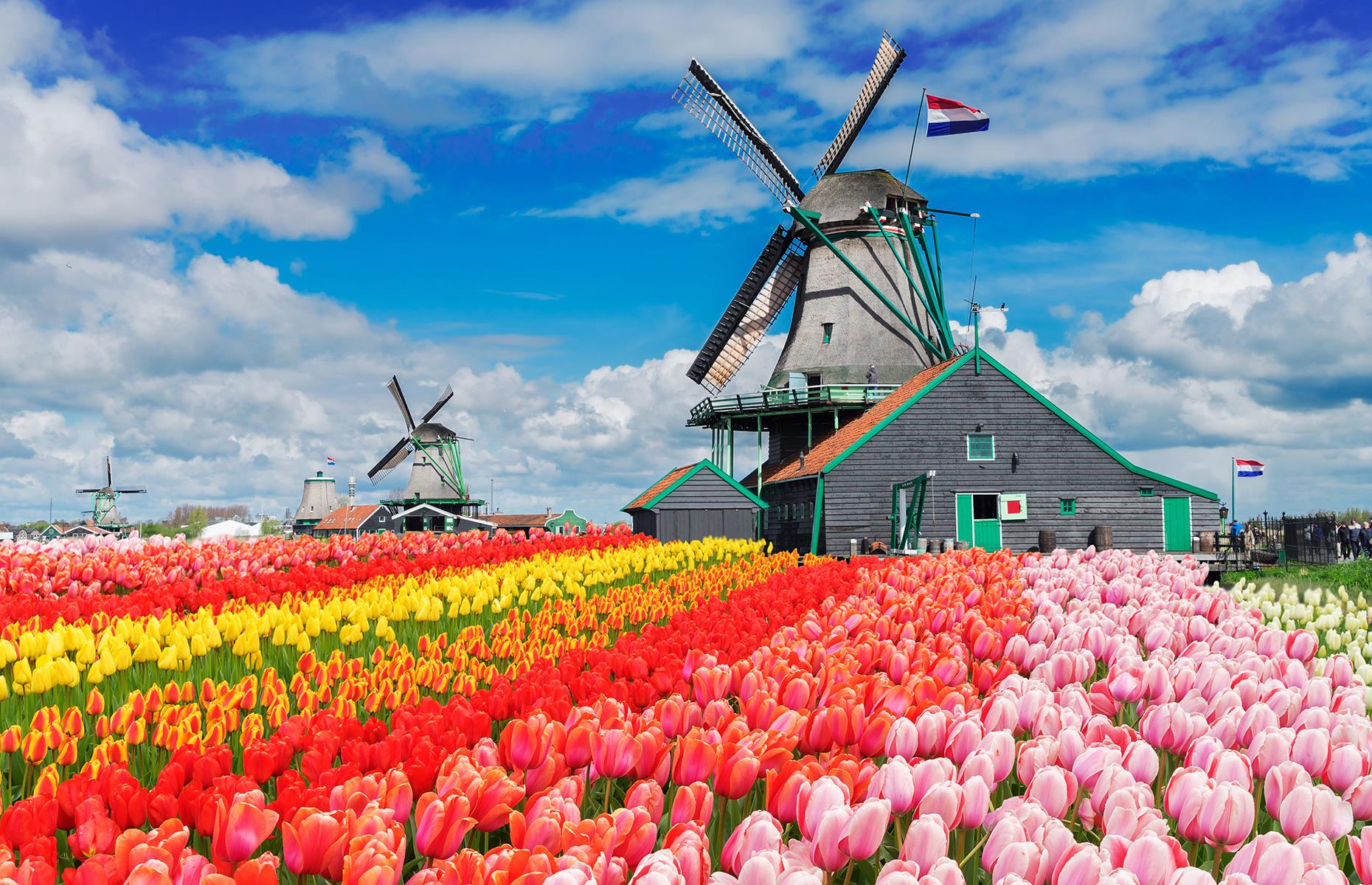 The Netherlands